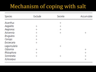 Mechanism of coping with salt
 