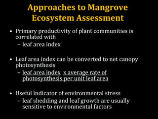 Approaches to Mangrove
Ecosystem Assessment
• Primary productivity of plant communities is
correlated with
– leaf area index
• Leaf area index can be converted to net canopy
photosynthesis
– leaf area index x average rate of
photosynthesis per unit leaf area
• Useful indicator of environmental stress
– leaf shedding and leaf growth are usually
sensitive to environmental factors
 
