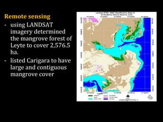 Continue,,,,,
Remote sensing
- using LANDSAT
imagery determined
the mangrove forest of
Leyte to cover 2,576.5
ha.
- listed Carigara to have
large and contiguous
mangrove cover
 