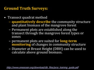 Continue,,,,,
Ground Truth Surveys:
• Transect quadrat method
– quantitatively describe the community structure
and plant biomass of the mangrove forest
– Permanent plots are established along the
transect through the mangrove forest types or
zones
– permanent plots are suited for long-term
monitoring of changes in community structure
– Diameter at Breast Height (DBH) can be used to
calculate above ground biomass.
http://www.oneocean.org/download/db_files/pcra_training_guide.pdf
 