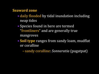 Seaward zone
• daily flooded by tidal inundation including
neap tides
• Species found in here are termed
“frontliners” and are generally true
mangroves
• Soil type ranges from sandy loam, mudflat
or coralline
–sandy coralline: Sonneratia (pagatpat)
 