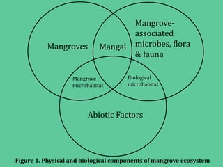 Mangroves
Mangrove-
associated
microbes, flora
& fauna
Mangal
Mangrove
microhabitat
Biological
microhabitat
Abiotic Factors
Figure 1. Physical and biological components of mangrove ecosystem
 