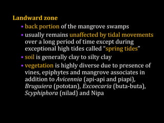Landward zone
• back portion of the mangrove swamps
• usually remains unaffected by tidal movements
over a long period of time except during
exceptional high tides called “spring tides”
• soil is generally clay to silty clay
• vegetation is highly diverse due to presence of
vines, epiphytes and mangrove associates in
addition to Avicennia (api-api and piapi),
Bruguiera (pototan), Excoecaria (buta-buta),
Scyphiphora (nilad) and Nipa
 