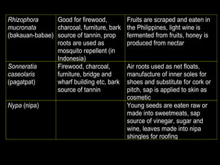 Rhizophora
mucronata
(bakauan-babae)
Good for firewood,
charcoal, furniture, bark
source of tannin, prop
roots are used as
mosquito repellent (in
Indonesia)
Fruits are scraped and eaten in
the Philippines, light wine is
fermented from fruits, honey is
produced from nectar
Sonneratia
caseolaris
(pagatpat)
Firewood, charcoal,
furniture, bridge and
wharf building etc, bark
source of tannin
Air roots used as net floats,
manufacture of inner soles for
shoes and substitute for cork or
pitch, sap is applied to skin as
cosmetic
Nypa (nipa) Young seeds are eaten raw or
made into sweetmeats, sap
source of vinegar, sugar and
wine, leaves made into nipa
shingles for roofing
 