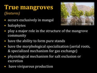 True mangroves
(features)
• occurs exclusively in mangal
• halophytes
• play a major role in the structure of the mangrove
community
• have the ability to form pure stands
• have the morphological specialization (aerial roots,
& specialized mechanism for gas exchange)
• physiological mechanism for salt exclusion or
excretion
• have viviparous production
 