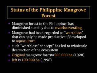 Status of the Philippine Mangrove
Forest
• Mangrove forest in the Philippines has
diminished steadily due to overharvesting
• Mangrove had been regarded as “worthless”
that can only be made productive if developed
to aquaculture
• such “worthless” concept” has led to wholesale
destruction of the ecosystem
• Original mangrove forest=500 000 ha (1920)
• left is 100 000 ha (1996)
 