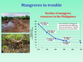 Mangroves in trouble
Mangrove
Area
(Thousands
of
Hectares)
450,000 ha
in 1918
288,000 ha
in 1970
140,000 ha
in 1988
138,000 ha
in 1993
175,000 ha
in 1980
?
Decline of mangrove
resources in the Philippines
 