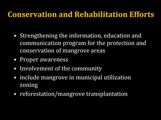 Conservation and Rehabilitation Efforts
• Strengthening the information, education and
communication program for the protection and
conservation of mangrove areas
• Proper awareness
• Involvement of the community
• include mangrove in municipal utilization
zoning
• reforestation/mangrove transplantation
 