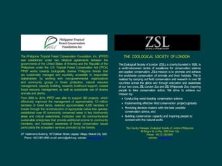 The Philippine Tropical Forest Conservation Foundation, Inc. (PTFCF)
was established under two bilateral agreements between the
governments of the United States of America and the Republic of the
Philippines under the U.S. Tropical Forest Conservation Act (TFCA).
PTFC
F works towards biologically diverse Philippine forests that
are sustainably managed and equitably accessible to responsible
stakeholders by working with non-governmental organizations
and community groups in forest protection, natural resource
management, capacity building, research, livelihood support, coastal
forest resource management, as well as sustainable use of diverse
animals and plants.
From 2005 to 2014, PTFC
F was able to support 383 projects, which
effectively improved the management of approximately 1.5 million
hectares of forest lands, restored approximately 4,200 hectares of
forests through the re-introduction of appropriate native tree species,
established over 40 community conserved areas in key biodiversity
areas and critical watersheds, instituted over 60 community-level
sustainable enterprises that provide additional income to community
members, and increased awareness of forest conservation issues
particularly the ecosystem services provided by the forests.
2/F Valderrama Building, 107 Esteban Street, Legaspi Village, Makati City 1223
Phone: +63 2 891-0595; email: admin@ptfcf.org; website: www.ptfcf.org
THE ZOOLOGICAL SOCIETY OF LONDON
TheZoological Society of London (ZSL), a charity foundedin 1826, is
a world-renowned centre of excellence for conservation science
and applied conservation. ZSL’s mission is to promote and achieve
the worldwide conservation of animals and their habitats. This is
realized by carrying out field conservation and research in over 50
countries across the globe and through education and awareness
at our two zoos, ZS
LLondon Zoo and ZS
LWhipsnade Zoo, inspiring
people to take conservation action. We strive to achieve our
mission by:
• Conducting world-leading conservation science
• Implementing effective field conservation projects globally
• Providing decision-makers with the best possible
conservation advice, and
• Building conservation capacity and inspiring people to
connect with the natural world.
The Country Manager, Zoological Society of London-Philippines
48 Burgos St. LaP
az, 5000 Iloilo City
Phone: +63 33 330-0929
website: www.zsl.org
 
