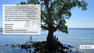 The mangrove action project