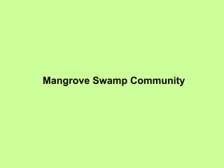 Mangrove Swamp Community 