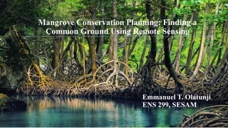 Mangrove Conservation Planning: Finding a
Common Ground Using Remote Sensing
Emmanuel T. Olatunji
ENS 299, SESAM
 