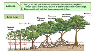 Integrated, opened, and participatory mangrove ecosystem management ...