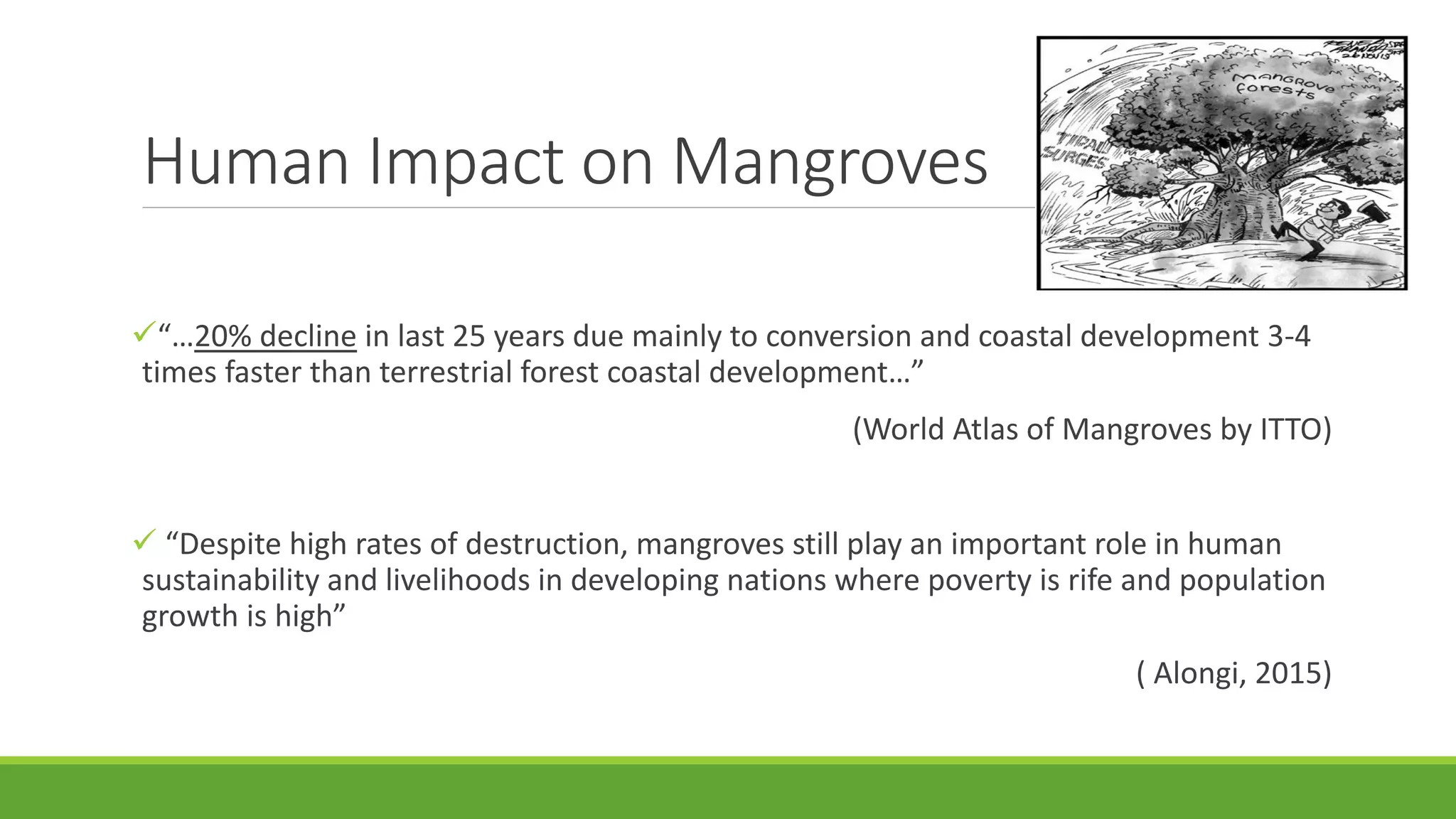 Human Impact on Mangroves
“…20% decline in last 25 years due mainly to conversion and coastal development 3-4
times faster than terrestrial forest coastal development…”
(World Atlas of Mangroves by ITTO)
 “Despite high rates of destruction, mangroves still play an important role in human
sustainability and livelihoods in developing nations where poverty is rife and population
growth is high”
( Alongi, 2015)
 