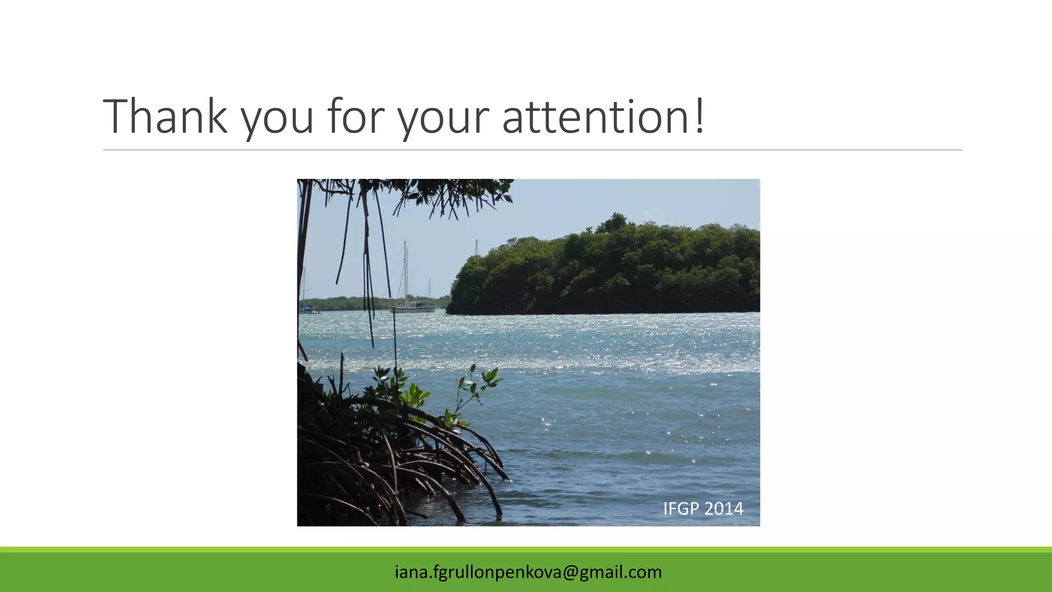 Thank you for your attention!
iana.fgrullonpenkova@gmail.com
IFGP 2014
 