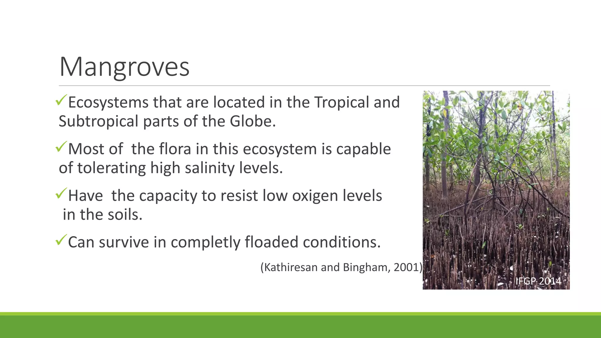 Mangroves
Ecosystems that are located in the Tropical and
Subtropical parts of the Globe.
Most of the flora in this ecosystem is capable
of tolerating high salinity levels.
Have the capacity to resist low oxigen levels
in the soils.
Can survive in completly floaded conditions.
(Kathiresan and Bingham, 2001)
IFGP 2014
 