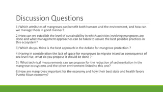 Discussion Questions
1) Which attributes of mangroves can benefit both humans and the environment, and how can
we manage them in good manner?
2) How can we establish the level of sustainability in which activities involving mangroves are
done and what management approaches can be taken to assure the best possible practices in
this ecosystem?
3) Which do you think is the best approach in the debate for mangrove protection ?
4) Having in consideration the lack of space for mangroves to migrate inland as consequence of
sea level rise, what do you propose it should be done ?
5) What technical measurements can we propose for the reduction of sedimentation in the
mangrove ecosystems and the other environment linked to this one?
6) How are mangroves important for the economy and how their best state and health favors
Puerto Rican economy?
 