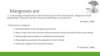 Mangroves are:
“…an assemblage of tropical trees and shrubs that grows in the intertidal zone. Mangroves include
approximately 16 families and 40 to 50 species (depending on classification).
(K. McKee, 1996)
 Criteria to be a mangrove:
1. Complete fidelity to the mangrove environment.
2. Plays a major role in the structure of the community and has the ability to form pure stands.
3. Morphological specialization for adaptation to the habitat.
4. Physiological specialization for adaptation to their habitat.
5. Taxonomic isolation from terrestrial relatives.
(P. Tomlinson, 1986)
 