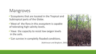 Mangroves
Ecosystems that are located in the Tropical and
Subtropical parts of the Globe.
Most of the flora in this ecosystem is capable
of tolerating high salinity levels.
Have the capacity to resist low oxigen levels
in the soils.
Can survive in completly floaded conditions.
(Kathiresan and Bingham, 2001)
IFGP 2014
 