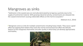 Mangroves as sinks
“Sediments in the coastal zone are normally dominated by terrigenous particles due to the
supply of continental material. With growing industrial activity, contaminants are released into
the coastal environment causing undesirable effects on the marine ecosystem.”
(Natesan et al., 2014)
Mangroves serve as sinks for multiple contaminants including heavy metals. They cause a good
effect by trapping them before they reach the marine environment but affect the delicate
balance of the mangroves themselves and alter quality in which they can develop appropriately
and healthy.
 