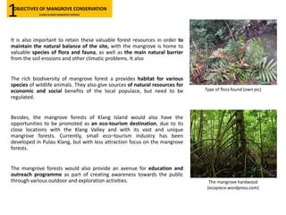 It is also important to retain these valuable forest resources in order to
maintain the natural balance of the site, with the mangrove is home to
valuable species of flora and fauna, as well as the main natural barrier
from the soil erosions and other climatic problems. It also
The rich biodiversity of mangrove forest a provides habitat for various
species of wildlife animals. They also give sources of natural resources for
economic and social benefits of the local populace, but need to be
regulated.
Besides, the mangrove forests of Klang Island would also have the
opportunities to be promoted as an eco-tourism destination, due to its
close locations with the Klang Valley and with its vast and unique
mangrove forests. Currently, small eco–tourism industry has been
developed in Pulau Klang, but with less attraction focus on the mangrove
forests.
The mangrove forests would also provide an avenue for education and
outreach programme as part of creating awareness towards the public
through various outdoor and exploration activities.
Type of flora found (own pic)
The mangrove hardwood
(ecopiece.wordpress.com)
OBJECTIVES OF MANGROVE CONSERVATION
KLANG ISLANDS MANGROVE RESERVE1
 