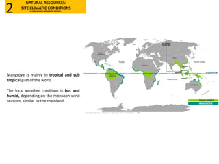 Mangrove is mainly in tropical and sub
tropical part of the world
The local weather condition is hot and
humid, depending on the monsoon wind
seasons, similar to the mainland.
SITE
According to the Food and Agriculture Organisation of the United Nations, in 2007
NATURAL RESOURCES:
SITE CLIMATIC CONDITIONS
KLANG ISLANDS MANGROVE RESERVE2
 