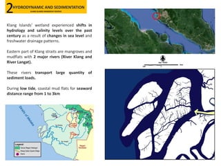 Klang Islands’ wetland experienced shifts in
hydrology and salinity levels over the past
century as a result of changes in sea level and
freshwater drainage patterns.
Eastern part of Klang straits are mangroves and
mudflats with 2 major rivers (River Klang and
River Langat).
These rivers transport large quantity of
sediment loads.
During low tide, coastal mud flats for seaward
distance range from 1 to 3km
HYDRODYNAMIC AND SEDIMENTATION
KLANG ISLANDS MANGROVE RESERVE2
 