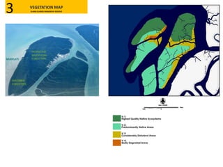 VEGETATION MAP
KLANG ISLANDS MANGROVE RESERVE3
 