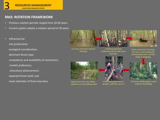 RM2: ROTATION FRAMEWORK
• Previous rotation periods ranged from 20-40 years.
• Current system adopts a rotation period of 30 years.
• Influences by:
site productivity
ecological consideration,
dominant forest type,
competency and availability of contractors,
market preference,
silviculture advancement,
expected forest yield; and
mean diameter of final crop trees.
RESOURCES MANAGEMENT
KLANG ISLANDS MANGROVE RESERVE3
 