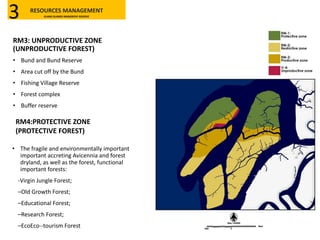 RM3: UNPRODUCTIVE ZONE
(UNPRODUCTIVE FOREST)
• Bund and Bund Reserve
• Area cut off by the Bund
• Fishing Village Reserve
• Forest complex
• Buffer reserve
RM4:PROTECTIVE ZONE
(PROTECTIVE FOREST)
• The fragile and environmentally important
important accreting Avicennia and forest
dryland, as well as the forest, functional
important forests:
-Virgin Jungle Forest;
–Old Growth Forest;
–Educational Forest;
–Research Forest;
–EcoEco--tourism Forest
RESOURCES MANAGEMENT
KLANG ISLANDS MANGROVE RESERVE3
 