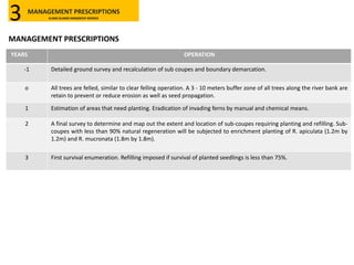 YEARS OPERATION
-1 Detailed ground survey and recalculation of sub coupes and boundary demarcation.
o All trees are felled, similar to clear felling operation. A 3 - 10 meters buffer zone of all trees along the river bank are
retain to prevent or reduce erosion as well as seed propagation.
1 Estimation of areas that need planting. Eradication of invading ferns by manual and chemical means.
2 A final survey to determine and map out the extent and location of sub-coupes requiring planting and refilling. Sub-
coupes with less than 90% natural regeneration will be subjected to enrichment planting of R. apiculata (1.2m by
1.2m) and R. mucronata (1.8m by 1.8m).
3 First survival enumeration. Refilling imposed if survival of planted seedlings is less than 75%.
MANAGEMENT PRESCRIPTIONS
KLANG ISLANDS MANGROVE RESERVE3
MANAGEMENT PRESCRIPTIONS
 