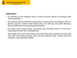 BIODIVERSITY
• As a fertilise oil, the mangrove forest is home to various species of mammals, birds
and herpetofauna.
• The mammal species identified including the common palm civet, Malayan field rat,
plantain squirrel, oriental small-clawed otter, and wild pig, long-tailed Macaque,
Dusky Leaf Monkey and Long-tongued Nectar Bat.
• For volant small mammals (bat), one species was recorded, which is a fruit bat or
Long-Tongued Nectar Bat (Pteropodidae).
• Meanwhile, there are 57 bird species from 26 families were recorded from the study
sites, with three reptile species, which are the mangrove skink, monitor lizard and
mangrove snake (Norhayati, 2009).
ANIMAL MANAGEMENT PLAN
KLANG ISLANDS MANGROVE RESERVE4
 