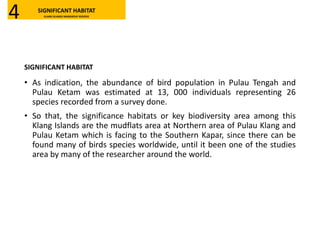 SIGNIFICANT HABITAT
• As indication, the abundance of bird population in Pulau Tengah and
Pulau Ketam was estimated at 13, 000 individuals representing 26
species recorded from a survey done.
• So that, the significance habitats or key biodiversity area among this
Klang Islands are the mudflats area at Northern area of Pulau Klang and
Pulau Ketam which is facing to the Southern Kapar, since there can be
found many of birds species worldwide, until it been one of the studies
area by many of the researcher around the world.
SIGNIFICANT HABITAT
KLANG ISLANDS MANGROVE RESERVE4
 
