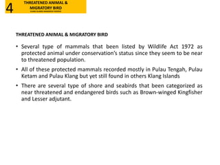 THREATENED ANIMAL & MIGRATORY BIRD
• Several type of mammals that been listed by Wildlife Act 1972 as
protected animal under conservation’s status since they seem to be near
to threatened population.
• All of these protected mammals recorded mostly in Pulau Tengah, Pulau
Ketam and Pulau Klang but yet still found in others Klang Islands
• There are several type of shore and seabirds that been categorized as
near threatened and endangered birds such as Brown-winged Kingfisher
and Lesser adjutant.
THREATENED ANIMAL &
MIGRATORY BIRD
KLANG ISLANDS MANGROVE RESERVE4
 