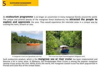 An ecotourism programme is no longer an uncommon in many mangrove forests around the world.
The unique and pristine beauty of the mangrove forest biodiversity has attracted the people to
explore and appreciate the area. They would experience the intertidal areas in a unique way by
cruising the rivers, streams or seas.
Such ecotourism product, which is the mangrove sea or river cruise has been implemented and
become a hit in some areas. In Malaysia, the Kinabatangan River Cruise is among the popular mangrove
swamp cruise across the river. While across the world, the mangrove coastal cruise has been popularised in
Florida and Costa Rica of the United States.
A mangrove cruise tour (greatleap.com.my) The cruise tour boat (interestingplace1.blogspot.com)
ECOTOURISM MANAGEMENT
KLANG ISLANDS MANGROVE RESERVE5
 