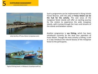 Such a programme can be implemented in Klang Islands
Forest Reserve, with the jetty of Pulau Ketam can be
the hub for the activity. The vast areas of the
mangrove forest islands will offer an exciting journey
for the visitors to experience the wide mangrove
islands, with cruising through the rivers and streams of
the islands and between islands.
Another programme is sea fishing, which has been
introduced currently by the local tour operators of
Pulau Ketam. Though the main activity is fishing, it will
in a way introduce the natural beauty of the mangrove
forest to the participants.
Jetty facility of Pulau Ketam (snipview.com)
Typical fishing boats in Malaysia (travelyourself.ca)
ECOTOURISM MANAGEMENT
KLANG ISLANDS MANGROVE RESERVE5
 
