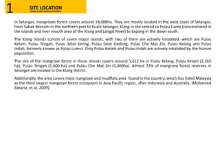 In Selangor, mangroves forest covers around 18,088ha. They are mostly located in the west coast of Selangor,
from Sabak Bernam in the northern part to Kuala Selangor, Klang in the central to Pulau Carey (concentrated in
the islands and river mouth area of the Klang and Langat River) to Sepang in the down south.
The Klang Islands consist of seven major islands, with two of them are actively inhabited, which are Pulau
Ketam, Pulau Tengah, Pulau Selat Kering, Pulau Selat Gedong, Pulau Che Mat Zin, Pulau Kelang and Pulau
Indah, formerly known as Pulau Lumut. Only Pulau Ketam and Pulau Indah are actively inhabited by the human
population.
The size of the mangrove forest in these islands covers around 5,612 ha in Pulau Kelang, Pulau Ketam (2,365
ha), Pulau Tengah (1,400 ha) and Pulau Che Mat Zin (1,400ha). Almost 72% of mangrove forest reserves in
Selangor are located in the Klang district.
Additionally, the area covers most mangrove and mudflats area found in the country, which has listed Malaysia
as the third largest mangrove forest ecosystem in Asia Pacific region, after Indonesia and Australia. (Mohamed
Zakaria, et.al, 2009).
SITE LOCATIONKLANG ISLANDS MANGROVE RESERVE1
 