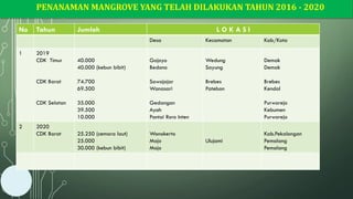 PENANAMAN MANGROVE YANG TELAH DILAKUKAN TAHUN 2016 - 2020
No Tahun Jumlah L O K A S I
Desa Kecamatan Kab/Kota
1 2019
CDK Timur
CDK Barat
CDK Selatan
40.000
40.000 (kebun bibit)
74.700
69.500
35.000
39.500
10.000
Gojoyo
Bedono
Sawojajar
Wanasari
Gedangan
Ayah
Pantai Roro Inten
Wedung
Sayung
Brebes
Patebon
Demak
Demak
Brebes
Kendal
Purworejo
Kebumen
Purworejo
2 2020
CDK Barat 25.250 (cemara laut)
25.000
30.000 (kebun bibit)
Wonokerto
Mojo
Mojo
Ulujami
Kab.Pekalongan
Pemalang
Pemalang
 