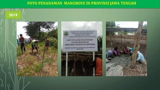 FOTO PENANAMAN MANGROVE DI PROVINSI JAWA TENGAH
2019
 