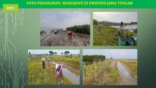FOTO PENANAMAN MANGROVE DI PROVINSI JAWA TENGAH
2021
 