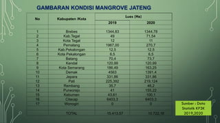 GAMBARAN KONDISI MANGROVE JATENG
No Kabupaten /Kota
Luas (Ha)
2019 2020
1 Brebes 1344,83 1344,78
2 Kab.Tegal 49 71,54
3 Kota Tegal 12 11
4 Pemalang 1967,00 270,7
5 Kab.Pekalongan 12,5 12,5
6 Kota Pekalongan 6,5 6,5
7 Batang 70,4 73,7
8 Kendal 120,99 120,99
9 Kota Semarang 186,49 163,25
10 Demak 4563 1391,4
11 Jepara 331,86 331,86
12 Pati 225,392 219,124
13 Rembang 35,7 46,2
14 Purworejo 41 155,22
15 Kebumen 43,61 100,1
16 Cilacap 6403,3 6403,3
17 Wonogiri 0 0
TOTAL 15.413,57 10.722,16
Sumber : Data
Statistik KP3K
2019,2020
 