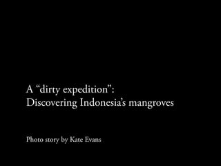  	
  
	
  	
  
	
  	
  
	
  	
  
	
  	
  
	
  	
  
	
  	
  
	
  	
  
	
  	
  
	
  	
  	
  
	
  	
  
	
  	
  
	
  

A “dirty expedition”:
Discovering Indonesia’s mangroves


Photo story by Kate Evans
 
 