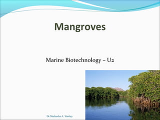Mangroves
Marine Biotechnology – U2

Dr.Shaleesha A. Stanley

1

 