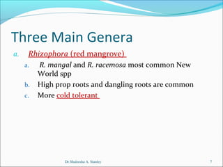 Three Main Genera
a.

Rhizophora (red mangrove)
a.
b.
c.

R. mangal and R. racemosa most common New
World spp
High prop roots and dangling roots are common
More cold tolerant

Dr.Shaleesha A. Stanley

7

 