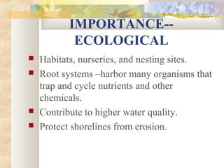 IMPORTANCE--
ECOLOGICAL
 Habitats, nurseries, and nesting sites.
 Root systems –harbor many organisms that
trap and cycle nutrients and other
chemicals.
 Contribute to higher water quality.
 Protect shorelines from erosion.
 