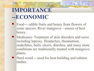 IMPORTANCE
--ECONOMIC
 Food--- edible fruits and honey from flowers of
some species. River mangrove—source of best
honey.
 Medicines- Treatment of skin disorders and sores
including leprosy. Headaches, rheumatism,
snakebites, boils, ulcers, diarrhea, and many more
conditions are traditionally treated with mangrove
plants.
 Hard wood -- used for boat building and cabinet
timber.
 