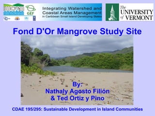 Fond D'Or Mangrove Study Site
By:
Nathaly Agosto Filión
& Ted Ortiz y Pino
CDAE 195/295: Sustainable Development in Island Communities
 