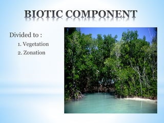 Divided to :
1. Vegetation
2. Zonation
 