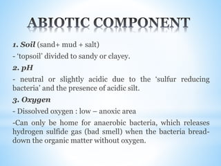 1. Soil (sand+ mud + salt)
- ‘topsoil’ divided to sandy or clayey.
2. pH
- neutral or slightly acidic due to the ‘sulfur reducing
bacteria’ and the presence of acidic silt.
3. Oxygen
- Dissolved oxygen : low – anoxic area
-Can only be home for anaerobic bacteria, which releases
hydrogen sulfide gas (bad smell) when the bacteria bread-
down the organic matter without oxygen.
 