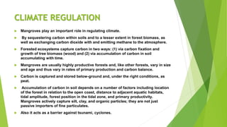CLIMATE REGULATION
 Mangroves play an important role in regulating climate.
 By sequestering carbon within soils and to a lesser extent in forest biomass, as
well as exchanging carbon dioxide with and emitting methane to the atmosphere.
 Forested ecosystems capture carbon in two ways: (1) via carbon fixation and
growth of tree biomass (wood) and (2) via accumulation of carbon in soil
accumulating with time.
 Mangroves are usually highly productive forests and, like other forests, vary in size
and age and thus vary in rates of primary production and carbon balance.
 Carbon is captured and stored below-ground and, under the right conditions, as
peat.
 Accumulation of carbon in soil depends on a number of factors including location
of the forest in relation to the open coast, distance to adjacent aquatic habitats,
tidal amplitude, forest position in the tidal zone, and primary productivity.
Mangroves actively capture silt, clay, and organic particles; they are not just
passive importers of fine particulates.
 Also it acts as a barrier against tsunami, cyclones.
 